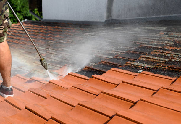 Best Roof Pressure Washing  in Port Charlotte, FL